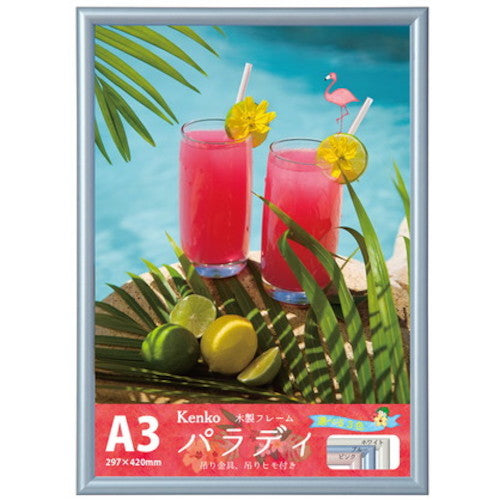 Kenko 1250264 Direct Frame Paradise A3 Blue EPR-A3 BU EPR-A3-BU 1 sheet