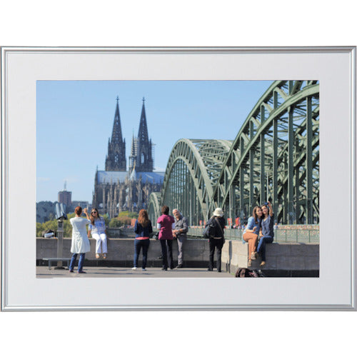 Kenko 1250201 アルミ額縁 パチット W4切 APT−W4 APT-W4 1 枚