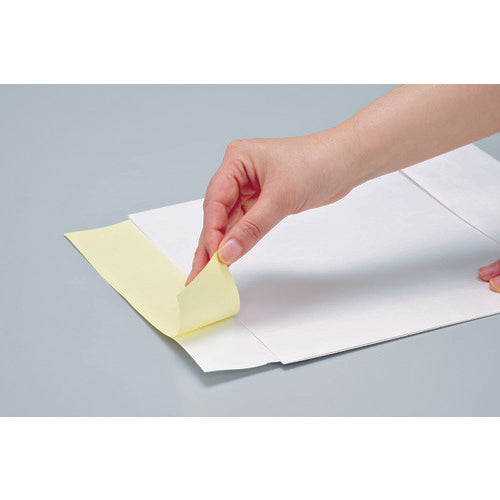 TRUSCCO 포장 택배 봉투 25장들이(대) SGW-L 1 PK