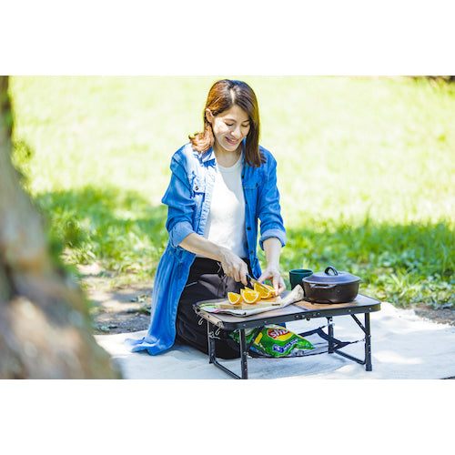 IRIS 518888 Folding Table Brown FOT-600(518888) 1 unit