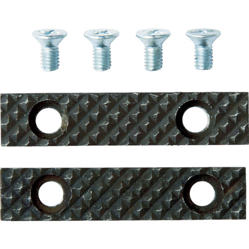 TRUSCO Rotating Bench Vise BV50SN with Base and Fixing Screw Set BV50SNKB 1 S