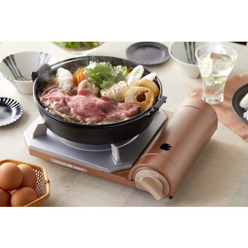 이와타니 카세트 푸 달인 슬림 플러스 CB-TS-PLS 1대