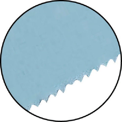 ハウスB.M バイメタルセーバーソー替刃解体プロ用 (10枚入) KBM-250 1 PK