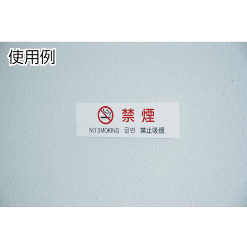 Hikari Multilingual Plate Non-Smoking TGP2610-4 1 piece