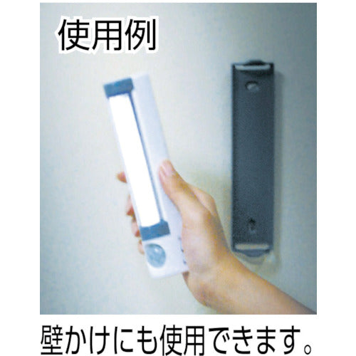 RITEX LEDセンサーライト ASL-020 1 台