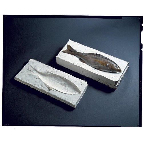 Shinetsu General molding 2 liquid 1kg KE20 1 S