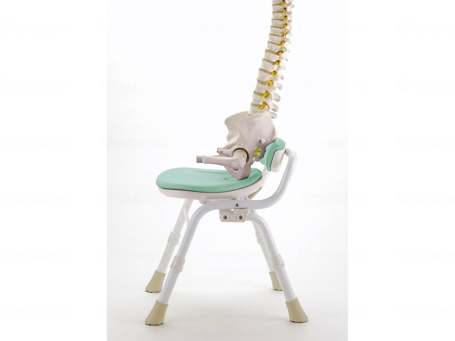 리첼 부드러운 쇼티아크레오오 접이식 타타미방 카비프리스 허리 부착 라이트 그린 폭 39 cm