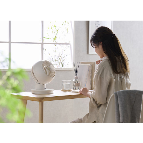 IRIS 290889 서큘레이터 아이 18 다다미 좌우 목 흔들림 AC 타입 아이보리 PCF-SC15-EC 1대