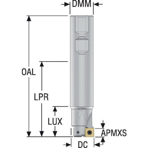 セコ フライス 座繰りカッタ R417.19 R417.19-2018.3-06A 1 個