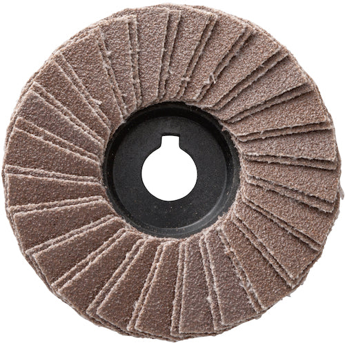 NRS ミニタイプペーパー多羽根ホイール ミニPホイル 58×9.53 A80 MPW58A80 5 枚