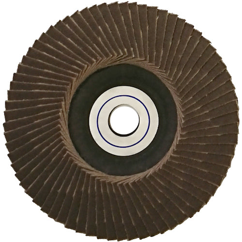 NRS ミニタイプペーパー多羽根ホイール ミニPホイル 75×10 A180 MPW75A180 5 枚