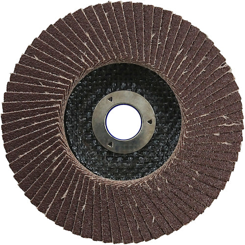 NRS ペーパー多羽根ホイル Sホイル 100×15 A80 SWL10072A80 10 枚