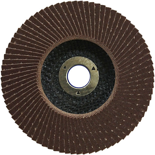 NRS ペーパー多羽根ホイル Sホイル 100×15 A150 SWL10080A150 10 枚