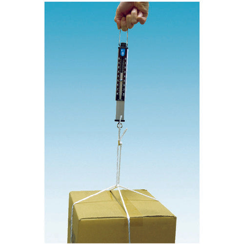 Shinwa Hand Scale 30kg Flat Scale Plate 74487 1 pc