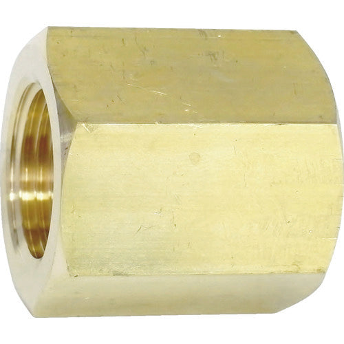 YAMATO メスXメス継手 W22−14(右)×Rc1/4 TB59 1 個