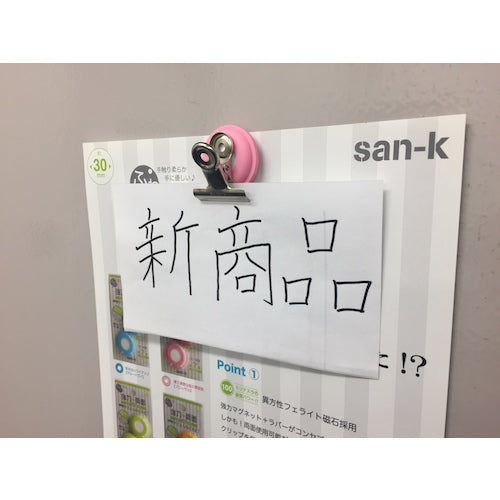 Sankei Soft and Powerful Double-Sided Pita Magnet Muscat (2 pieces) RPM-2G 1 PK