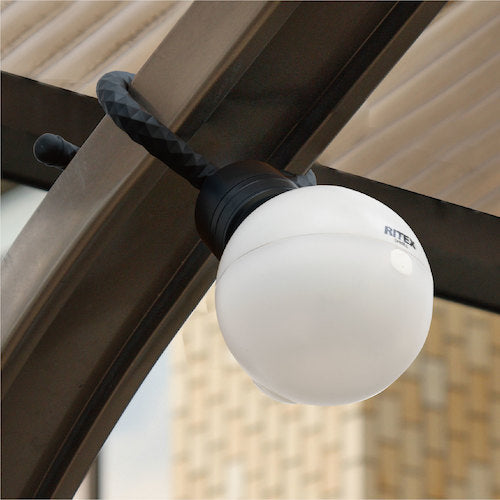 RITEX 充電式どこでもセンサーライト300 ASC-930 1 個