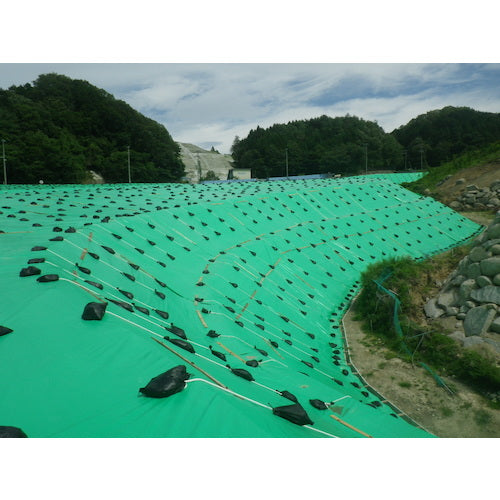 Hagiwara Tarpee UV Sheet #4000 Green 5.4m x 7.2m UV4000-GR5472 1 sheet