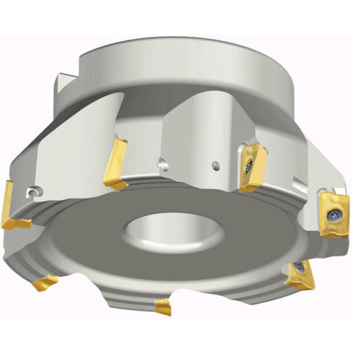 TEAGUTEC 밀링 커터 체이스 밀 TFM90AP 8100-31.75R-17 1 개