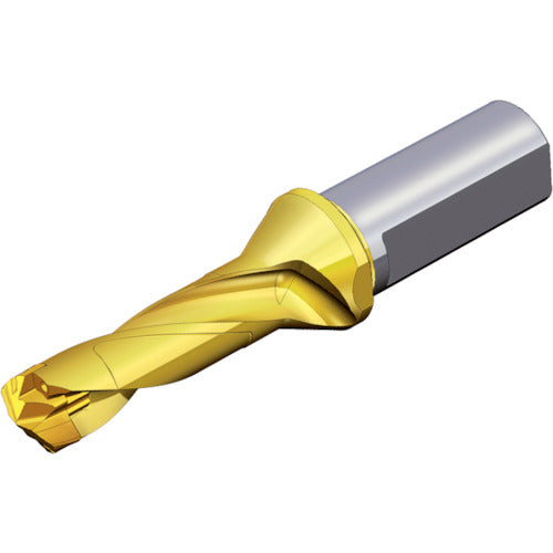 TEAGUTEC 刃先交換式ドリルホルダー ドリルラッシュ TCD 110-114-16T3-3D 1 本
