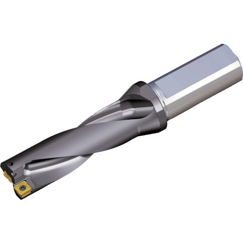 TEAGUTEC replaceable drill holder top drill TOP 3125-20T2-04 1 piece