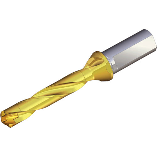 TEAGUTEC 刃先交換式ドリルホルダー ドリルラッシュ TCD 105-109-16T3-5D 1 本