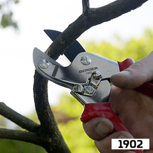 Berger 전정 가위 1902 195mm 1902 1 쵸