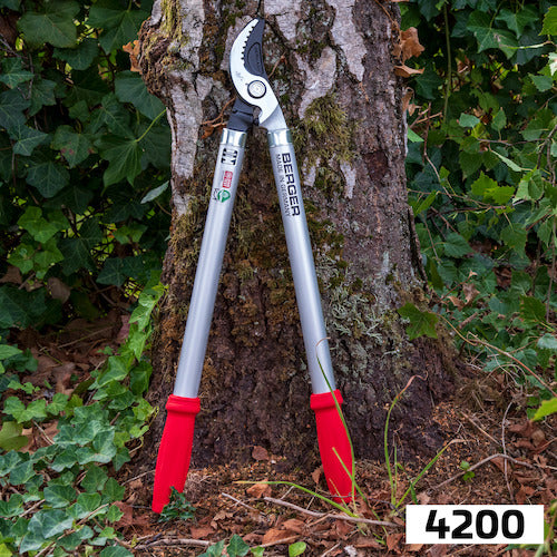 Berger 카리 고메 가위 4200 4200 1 쵸