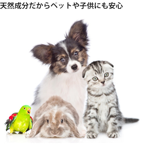 積水 ナノトタル 消臭・抗菌スプレー 350ml J5M4730 1 個