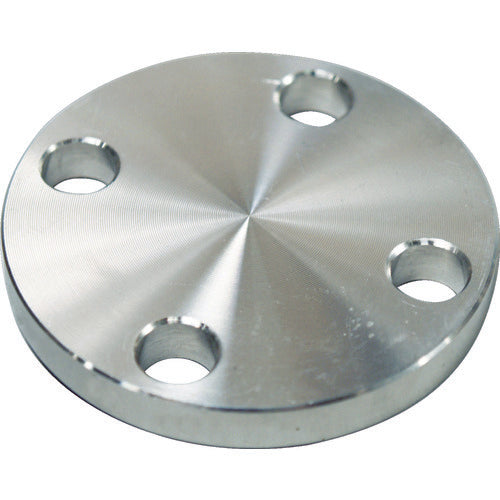 FLOBAL SUS304 5K Blind Flange 14100553 SUS-5K-BL-FF-15A 1 pc