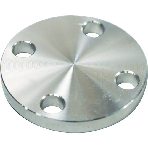 FLOBAL SUS304 5K 閉止フランジ 14100557 SUS-5K-BL-FF-40A 1 個