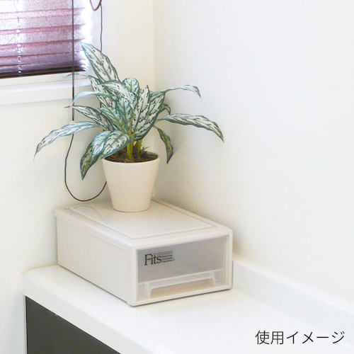 TENMA フィッツケース(プチ) カプチーノ 184×272×102 811001036 1 個