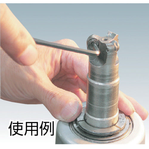 TRUSCO Hex Lobe Wrench T10H TTW-10H 1 pc