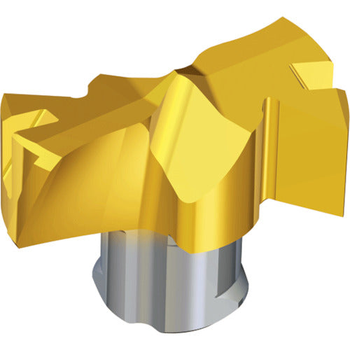 TEAGUTEC 칼날 교환식 드릴용 헤드 드릴 러쉬 TCD-255-F TT9080 1개