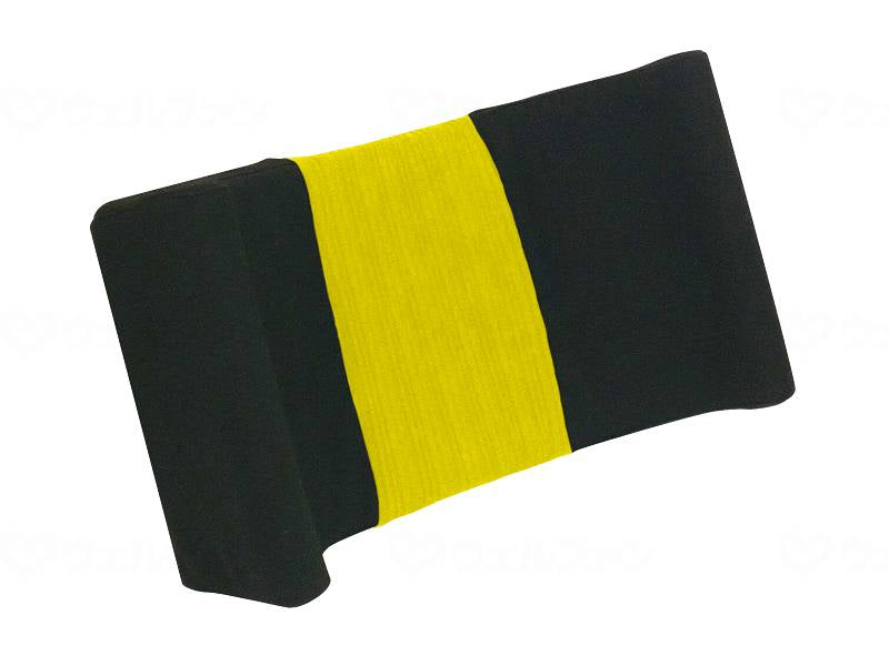 I-SONEX FC-Fine Back Cushion Black Short Type