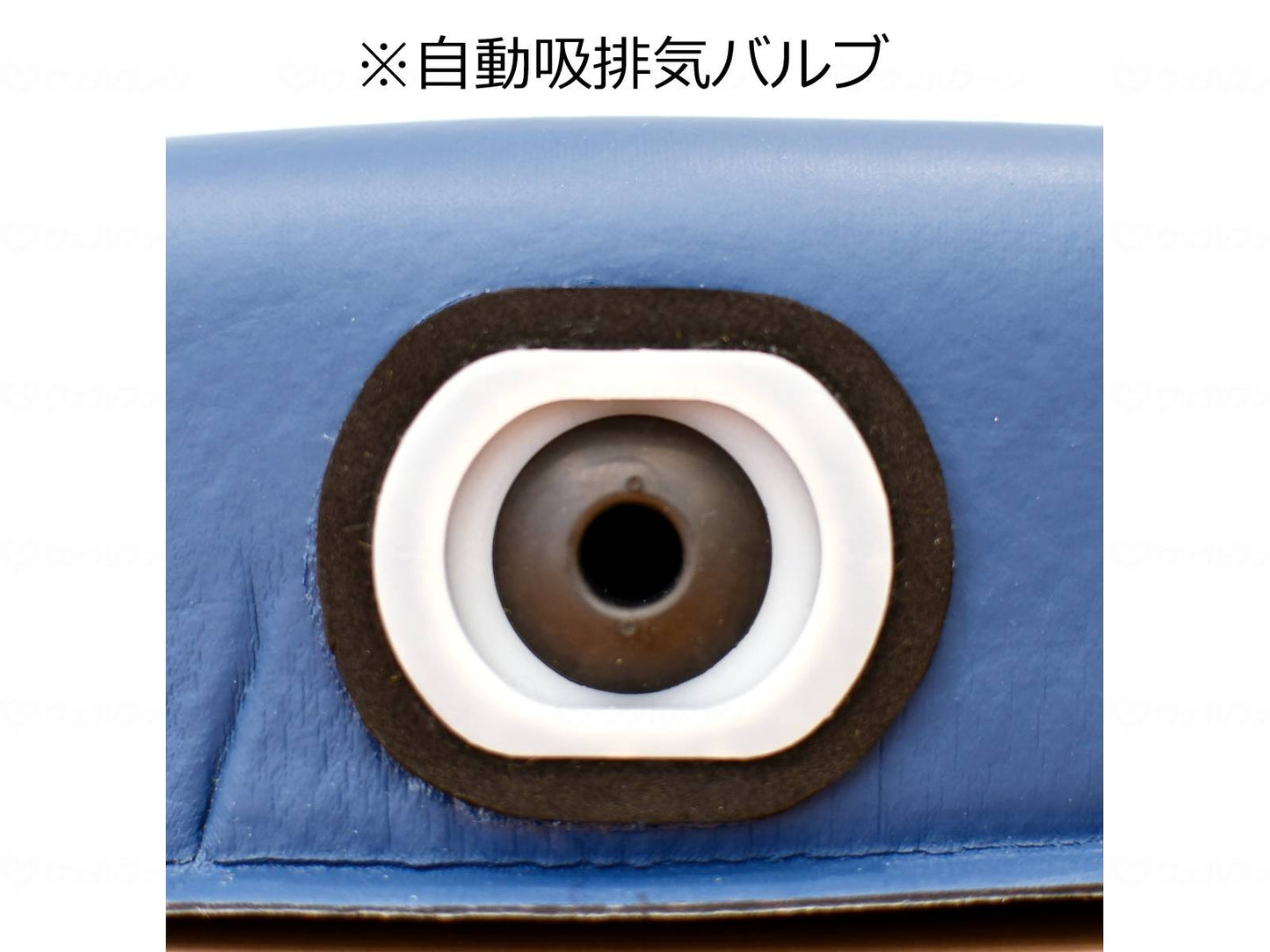 I-Sonex FC-Kokuyu-kun NV Flat Type Black