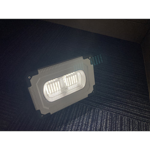 SHOWA どこでもラ・ラ・ライト SW21-03 1 個