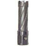 Ikura Light Borer Replacement Blade (Carbide Blade) (51086) CRSQ200 1 piece