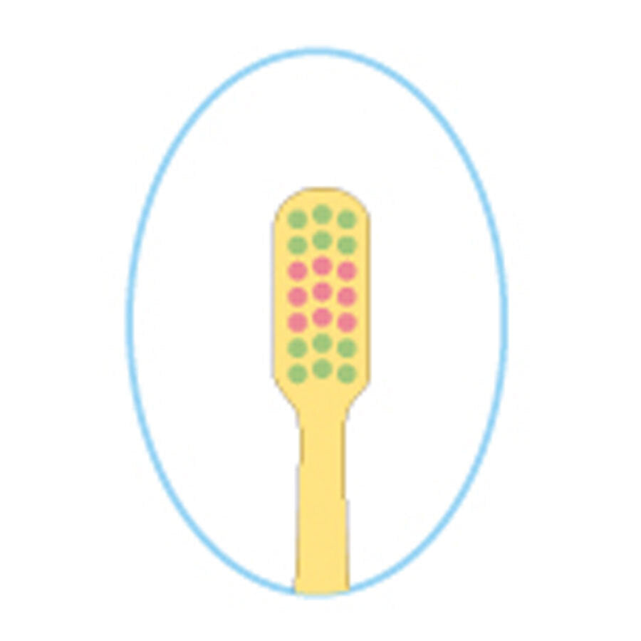 마스코트 캡 칫솔 빨판 첨부 고양이 1개입 1개