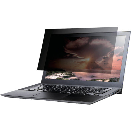 BAFFALO 覗き見防止フィルター/11.6インチワイド用 BFN116W 1 個