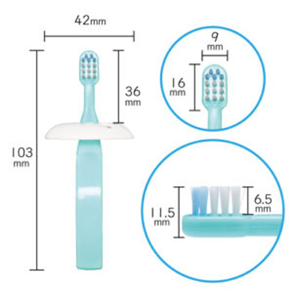 덴타 룬 링구 그립 6개월부터 그린+블루 2개입 1개