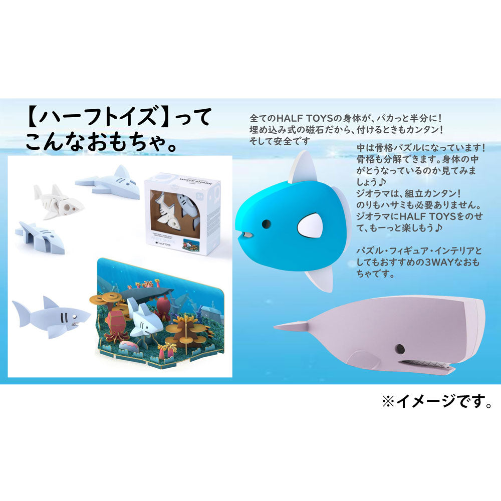 【아울렛】HALF TOYS 아오미 거북 디오라마 세트 1개