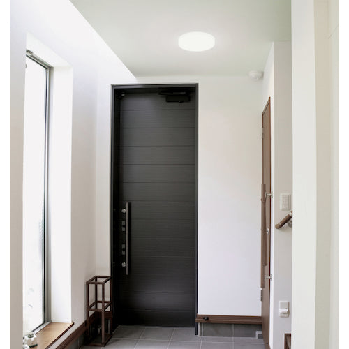 IRIS 249690 Small Ceiling Light Metal Circuit Series 1600lm Daylight White SCL16N-MCHL 1 unit