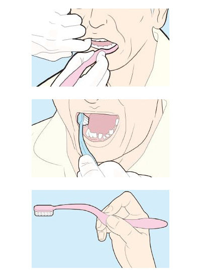 Elac Toothbrush 620 6-piece set (4 pink, 2 blue) / S (soft) 1 set