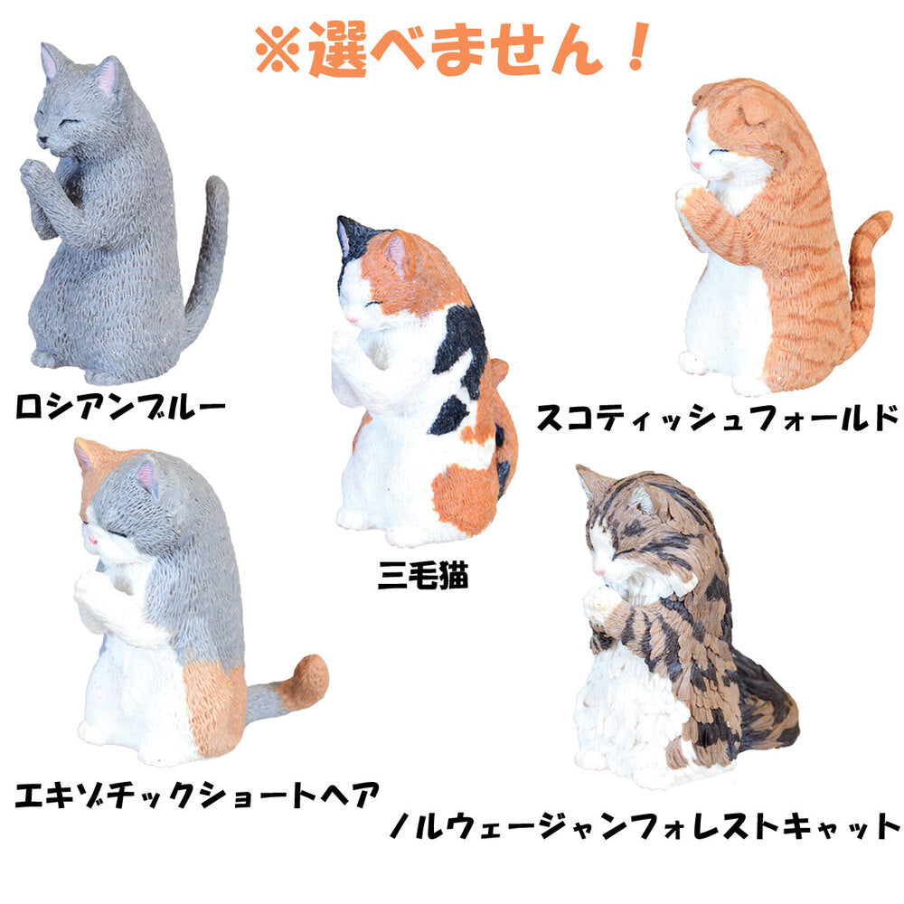 フィギュア 合掌 匠 猫拝 BOX 1個入 1 個