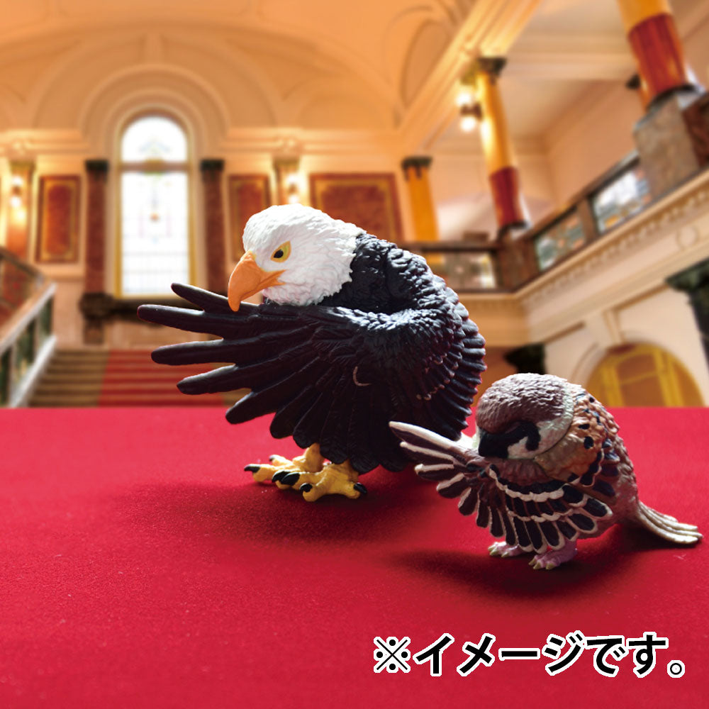 フィギュア 執事 BOX 1個入 1 個