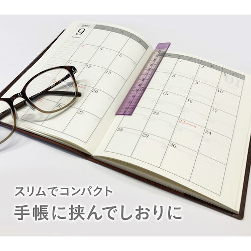 공영 플라스틱 뉘앙스 컬러 통치자 12cm 스미레 NJ-12-01 1 개