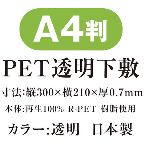 共栄プラスチック PET透明下敷 A4 P-1307 1 枚