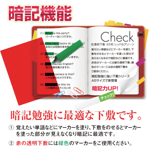 共栄プラスチック 色透明下敷 A4 レッド NO.1377-R 1 枚