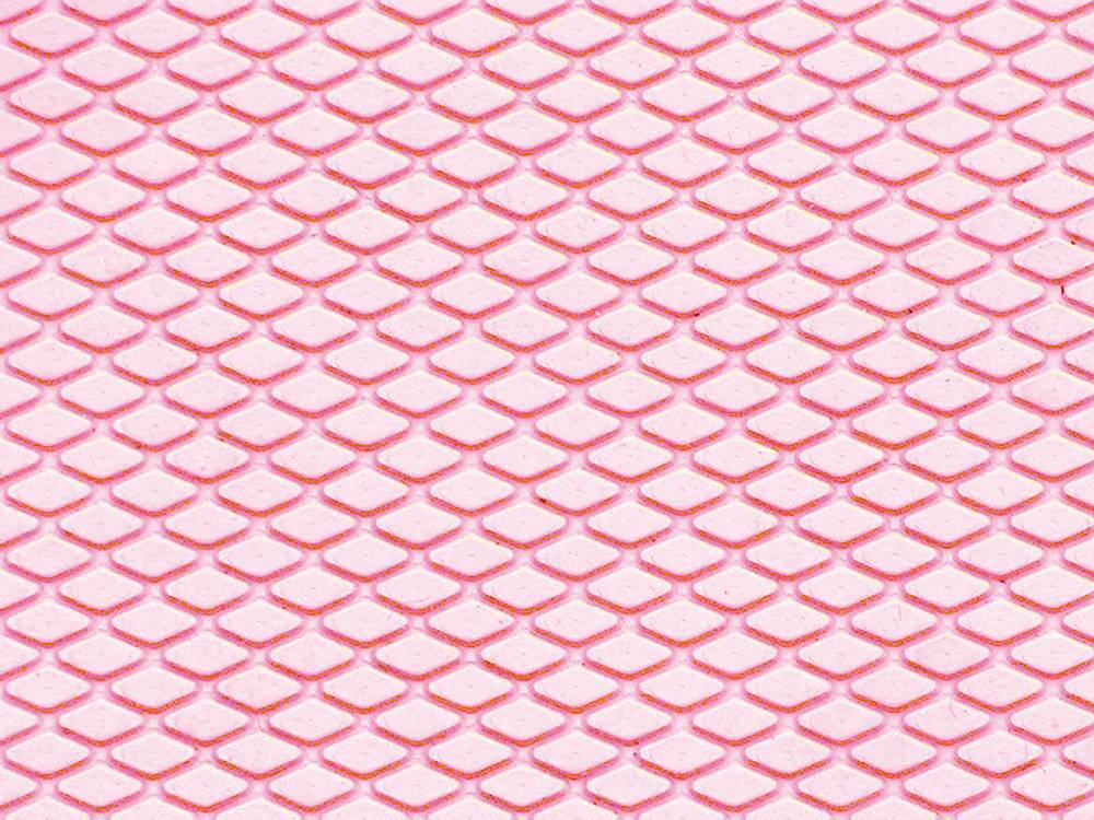 신에이 테크노 다이어 장미 핑크